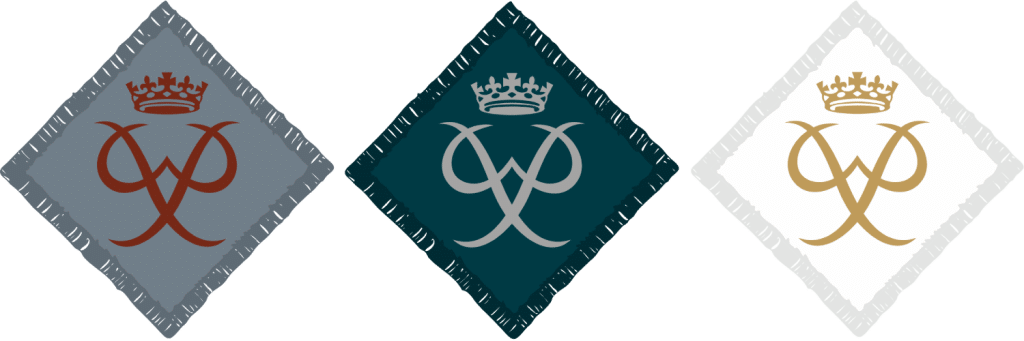 Graphic of DofE badges