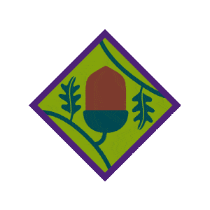 Animation of Young Leader Badges