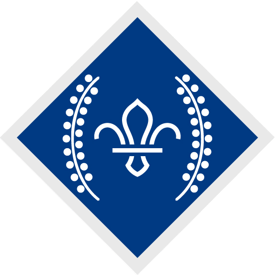 A graphic of the Chief Scouts Diamond award