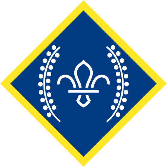 A graphic of the Chief Scouts Platinum award
