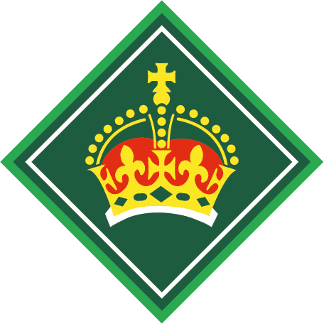 A graphic of the King's Scout Award